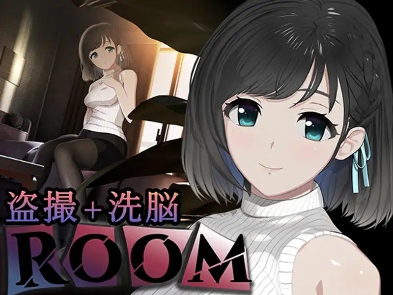 ROOM ROOM免费下载PC版运行流程整理 封面图